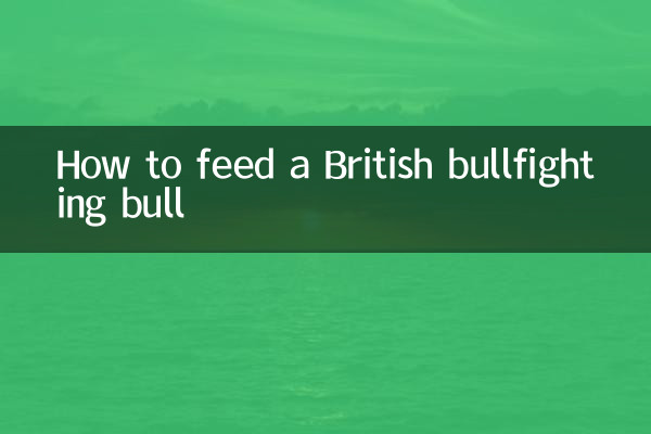 영국 투우소에게 먹이를 주는 방법