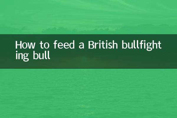 ব্রিটিশ ষাঁড়ের লড়াইয়ের ষাঁড়কে কীভাবে খাওয়াবেন
