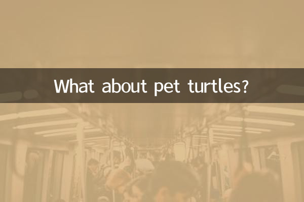 در مورد لاک پشت های خانگی چطور؟