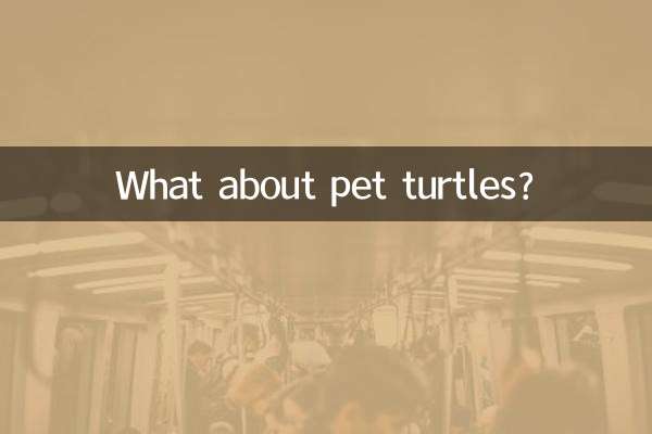 ماذا عن السلاحف الأليفة؟