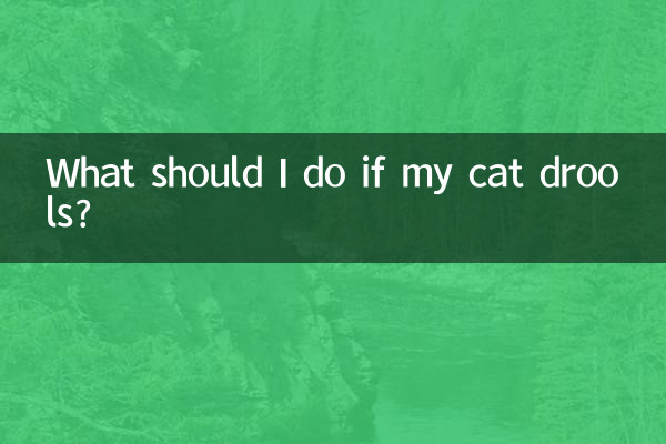 Что делать, если у моей кошки текут слюни?