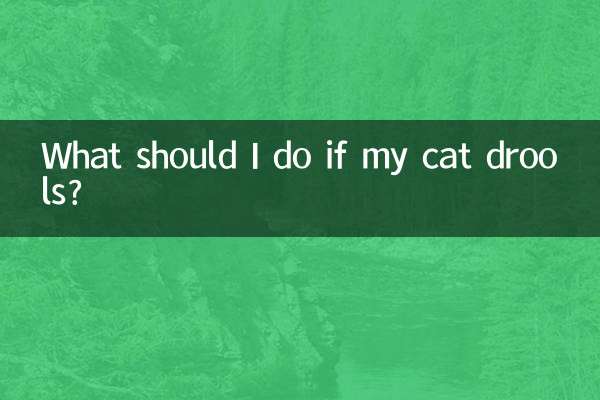 Что делать, если у моей кошки текут слюни?