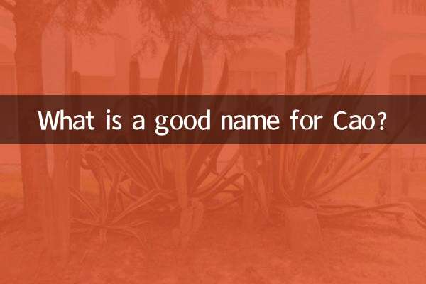 曹操にふさわしい名前は何ですか?