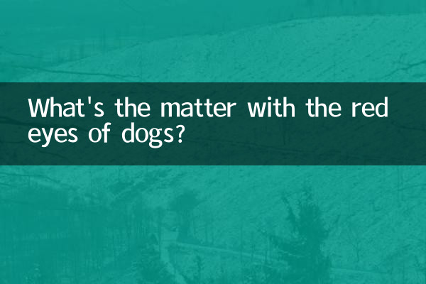 狗眼邊紅是怎麼回事