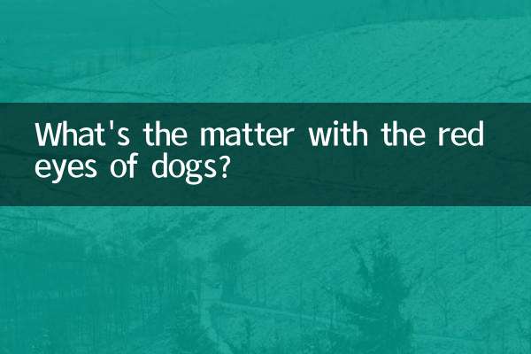 কুকুরের চোখ লাল হলে কি ব্যাপার?