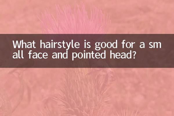 Qual penteado é bom para rosto pequeno e cabeça pontuda?