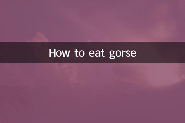 고르스를 먹는 방법