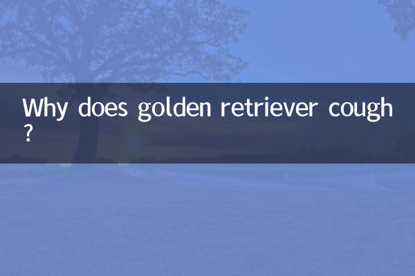गोल्डन रिट्रीवर को खांसी क्यों होती है?