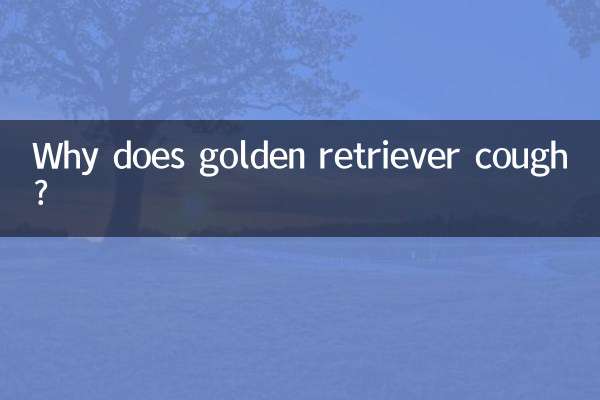 गोल्डन रिट्रीवर को खांसी क्यों होती है?