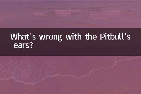 O que há de errado com as orelhas do Pitbull?