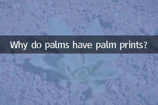 Pourquoi les palmiers ont-ils des empreintes de palmiers ?