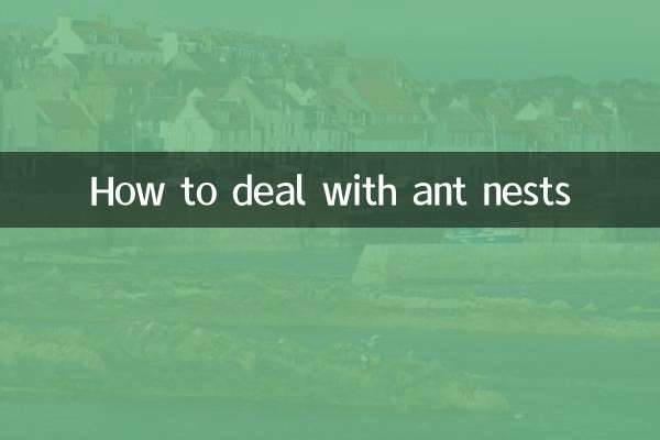 蚂蚁窝怎么处理