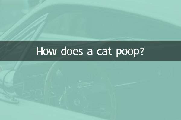 How does a cat poop?