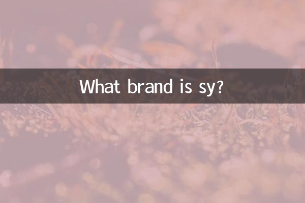 sy কি ব্র্যান্ড?