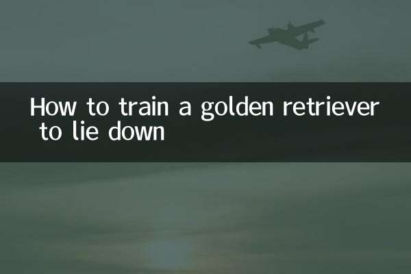 怎么训练金毛躺下