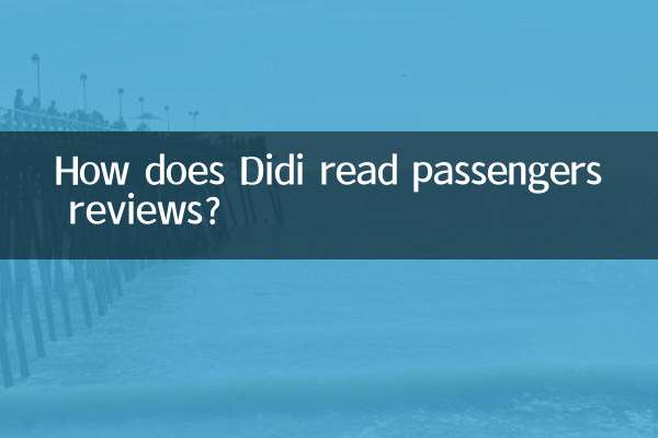 Wie liest Didi die Bewertungen der Passagiere?