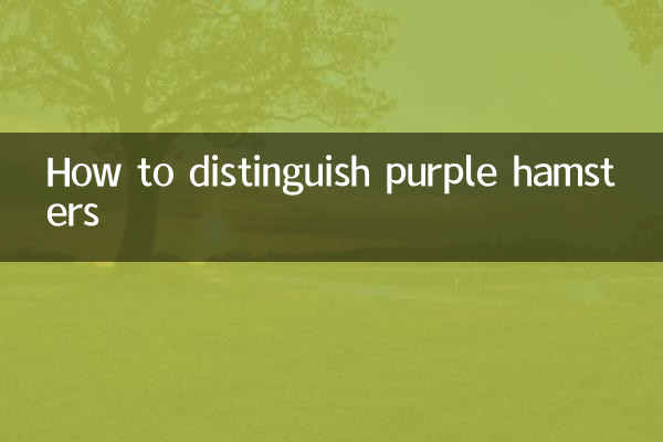 Wie man lila Hamster unterscheidet