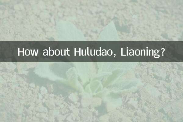 ماذا عن هولوداو، لياونينغ؟