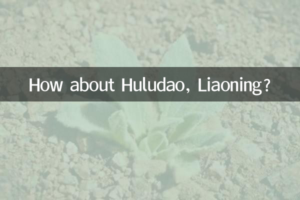 ماذا عن هولوداو، لياونينغ؟