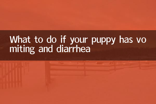 O que fazer se seu cachorro tiver vômito e diarréia