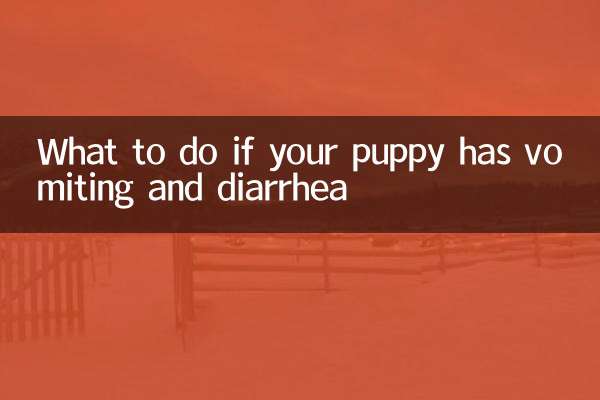 Was tun, wenn Ihr Welpe Erbrechen und Durchfall hat?