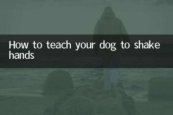 اپنے کتے کو مصافحہ کرنے کا طریقہ کیسے سکھائیں