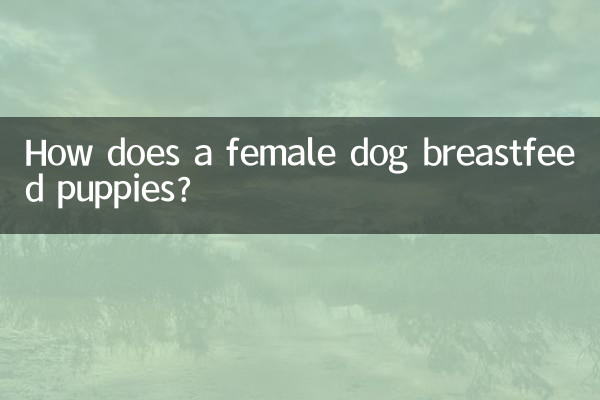 কীভাবে একটি মহিলা কুকুর কুকুরছানাকে বুকের দুধ খাওয়ায়?