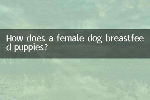 কীভাবে একটি মহিলা কুকুর কুকুরছানাকে বুকের দুধ খাওয়ায়?