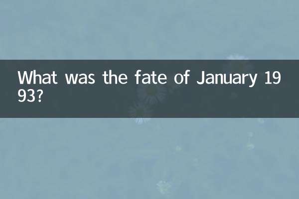 ما هو مصير يناير 1993؟