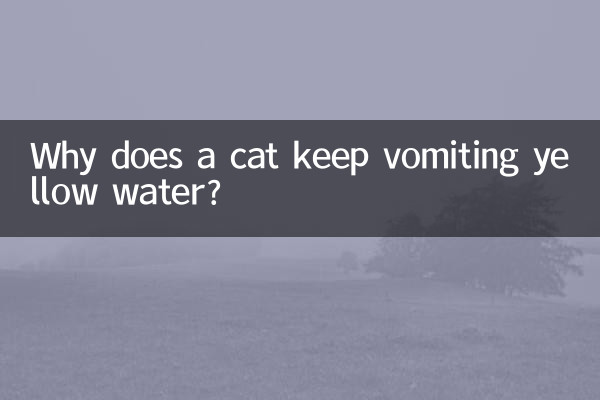 猫が黄色い水を吐き続けるのはなぜですか?
