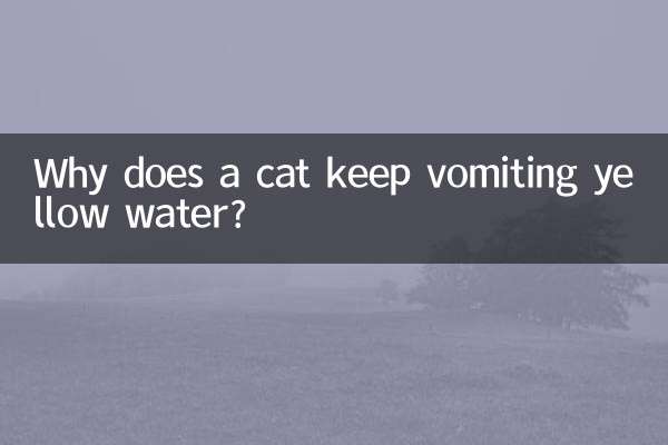 猫が黄色い水を吐き続けるのはなぜですか?