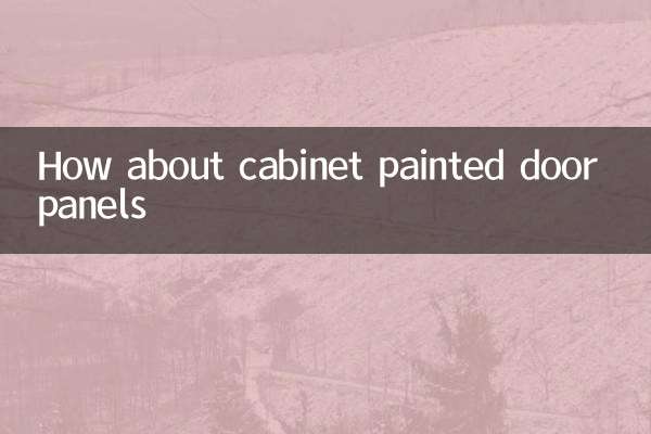 How about cabinet painted door panels
