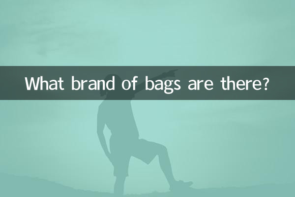 Quelle marque de sacs y a-t-il?