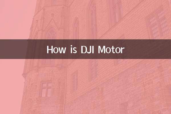 How is DJI Motor