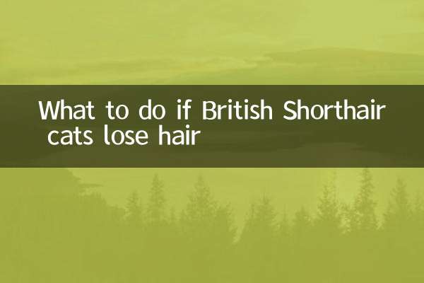 What to do if British Shorthair cats lose hair