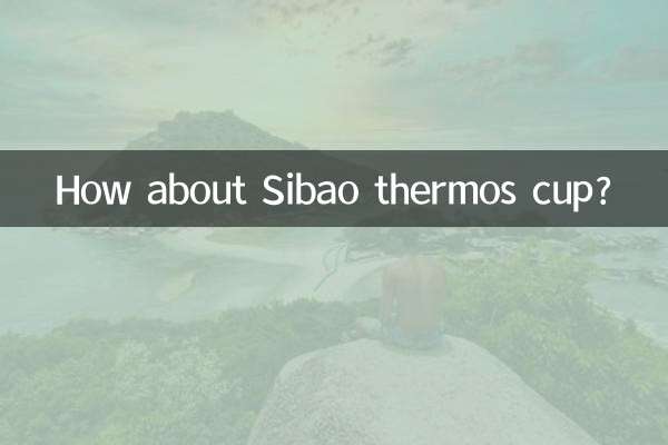 Wie wäre es mit einem Thermobecher von Sibao?