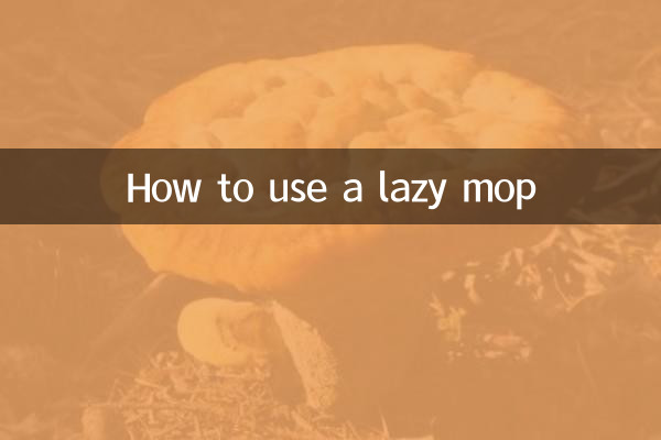 How to use a lazy mop