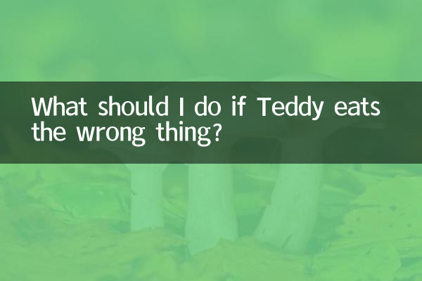 테디가 잘못된 것을 먹으면 어떻게 해야 하나요?