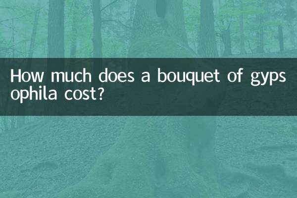 How much does a bouquet of gypsophila cost?