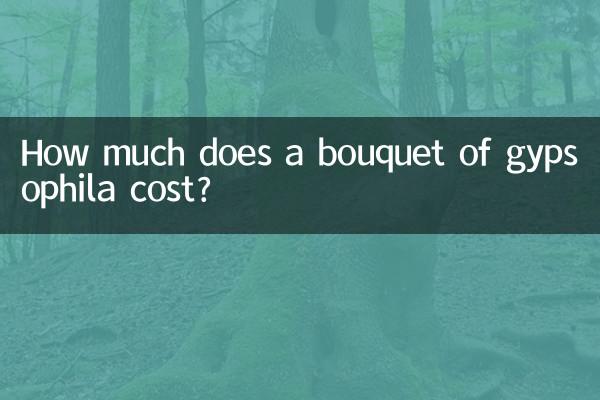 كم تكلفة باقة جيبسوفيلا؟