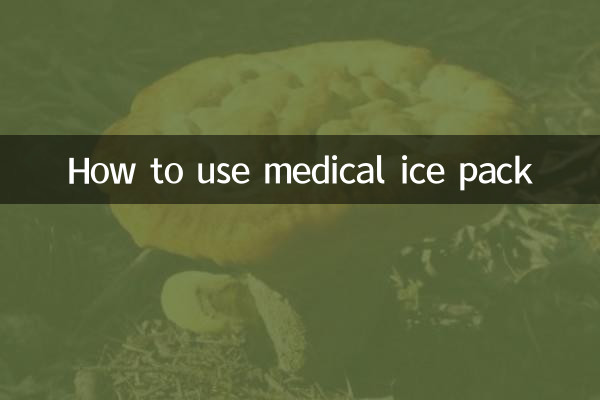 মেডিকেল আইস প্যাক কিভাবে ব্যবহার করবেন