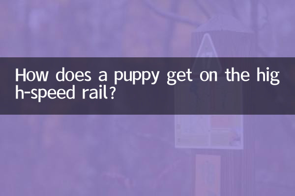 یک توله سگ چگونه وارد ریل پرسرعت می شود؟