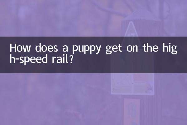 یک توله سگ چگونه وارد ریل پرسرعت می شود؟