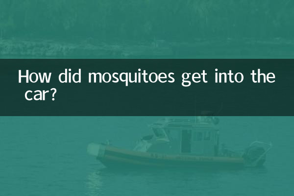 蚊はどうやって車に侵入したのですか?