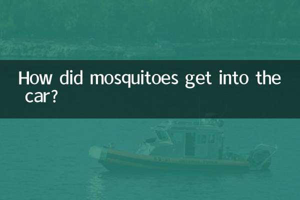 Come sono entrate le zanzare in macchina?
