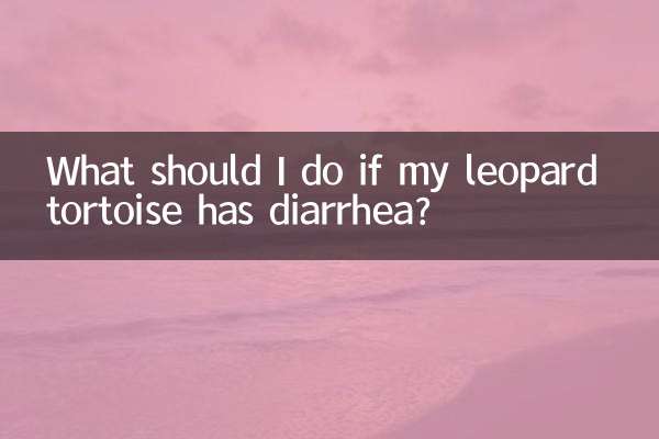Que dois-je faire si ma tortue léopard a la diarrhée ?