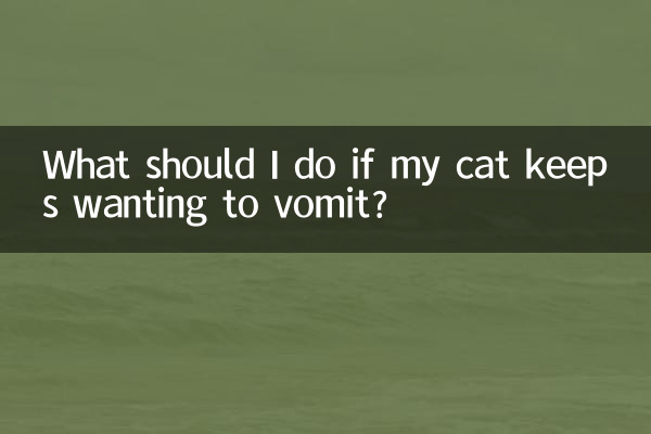 What should I do if my cat keeps wanting to vomit?