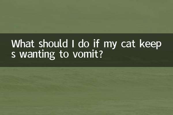 What should I do if my cat keeps wanting to vomit?