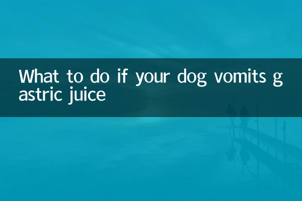狗狗吐胃液怎麼辦