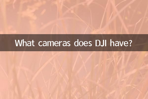 Welche Kameras hat DJI?